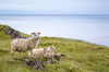 Leica Photo Adventure: Iceland (Eclipse) | August 11-20, 2026