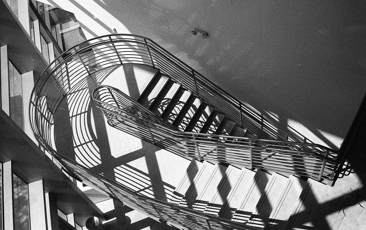 Película negativa en blanco y negro Ilford Professional HP5+ 400 (rollo de película de 35 mm, 36 exposiciones)