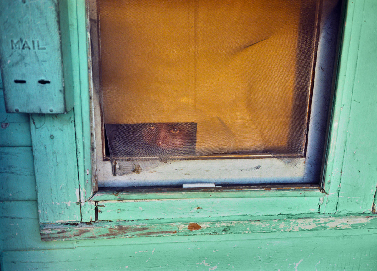 Nathan Benn - Editioned Print -  Refugee in Hiding, Overtown, Miami, 1981