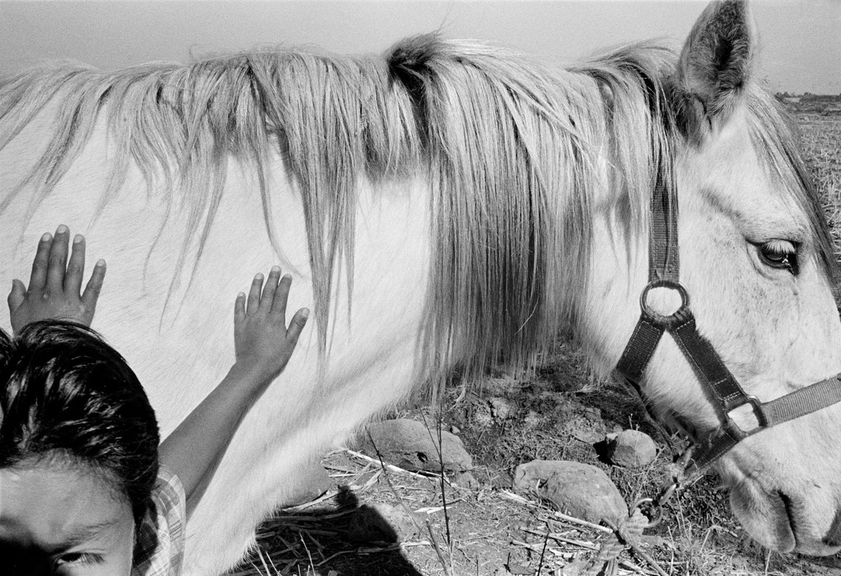 Stella Johnson: AL SOL, 2008 - Firmado