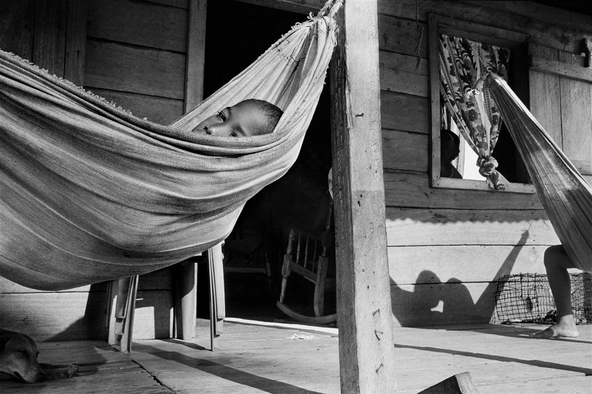 Stella Johnson: AL SOL, 2008 - Firmado