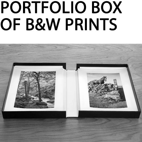 Portfolio Box of 20 Custom 8.5"x11" B&W Quad Tone Pigment Prints by Richard Sexton