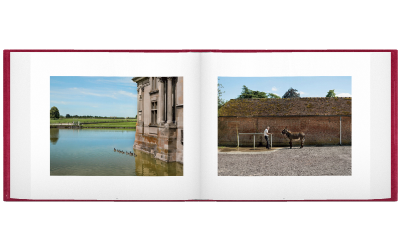 Alessandra Sanguinetti: El gendarme en la colina, 2017