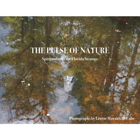 Lisette Morales McCabe: Pulse of Nature, 2023