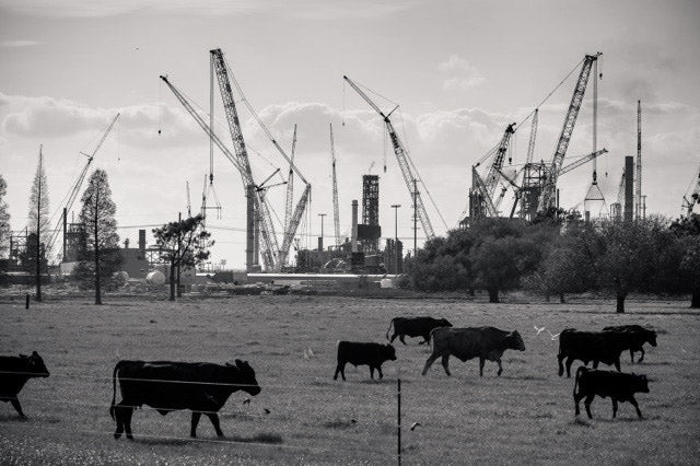 Richard Sexton 13 - Impresión de 20x24" - Donaldsonville, 2015